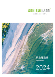 統合報告書